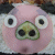 ppJpc